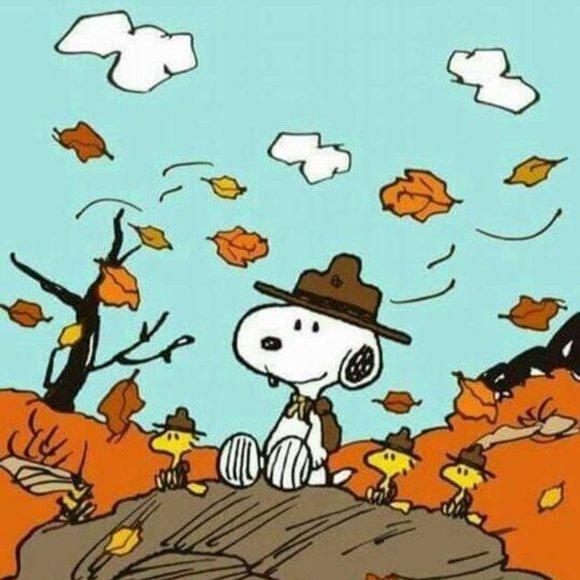 Before you speak or comment! - Picture 5 of 9